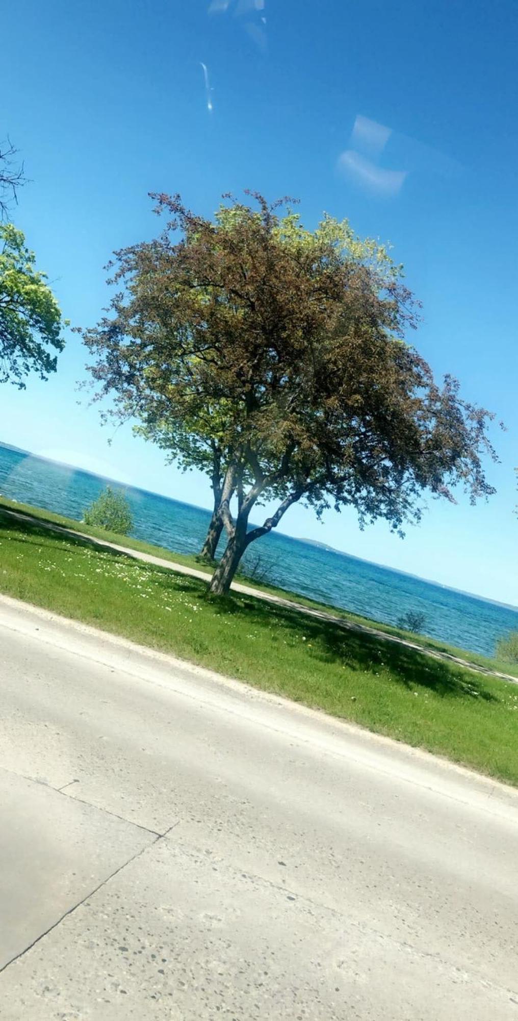 Location Location - Capri Condo 212 Traverse City Kültér fotó